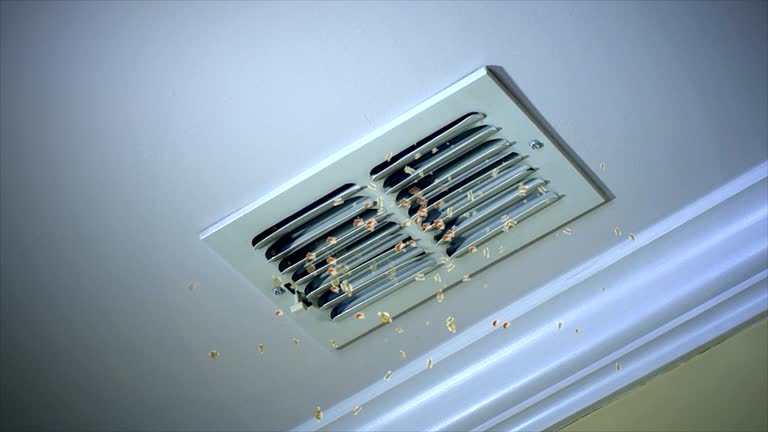 Best HVAC Duct Inspection Services  in Sparta, NC
