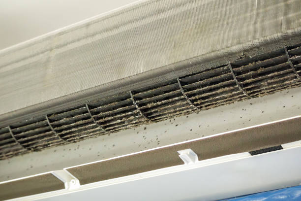 Best Local Air Duct Cleaning Services  in Sparta, NC